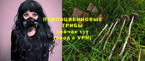 2c-b Осинники