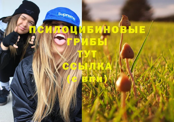 mix Абаза