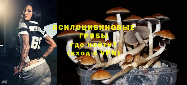 сатива Осташков