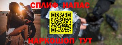 прущие грибы Кингисепп