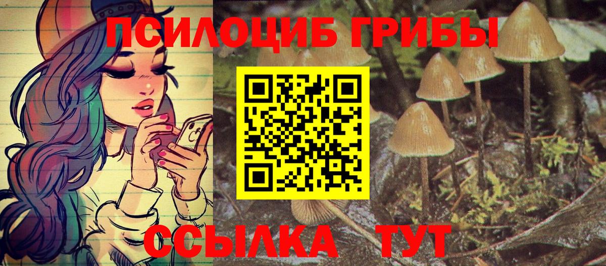 Псилоцибиновые грибы Psilocybe Рассказово