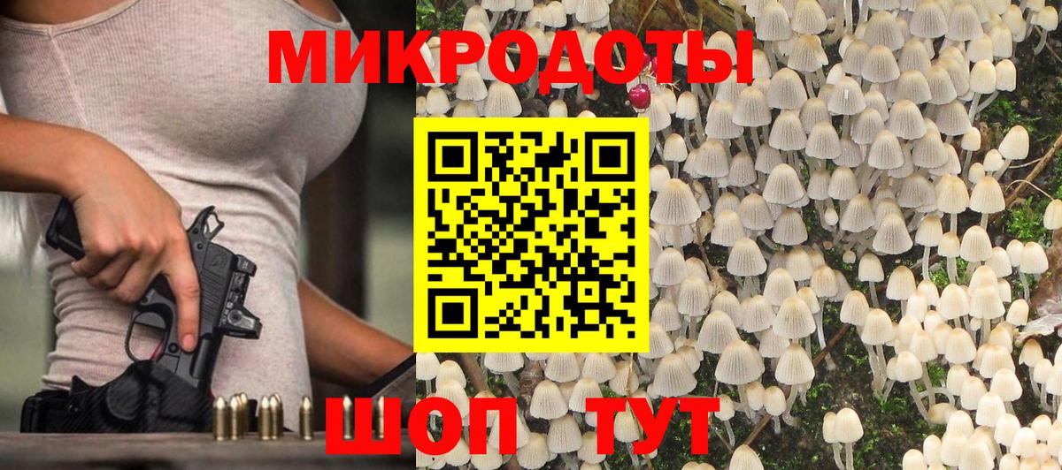 Рассказово  Галлюциногенные грибы Magic Shrooms  Вход с VPN 